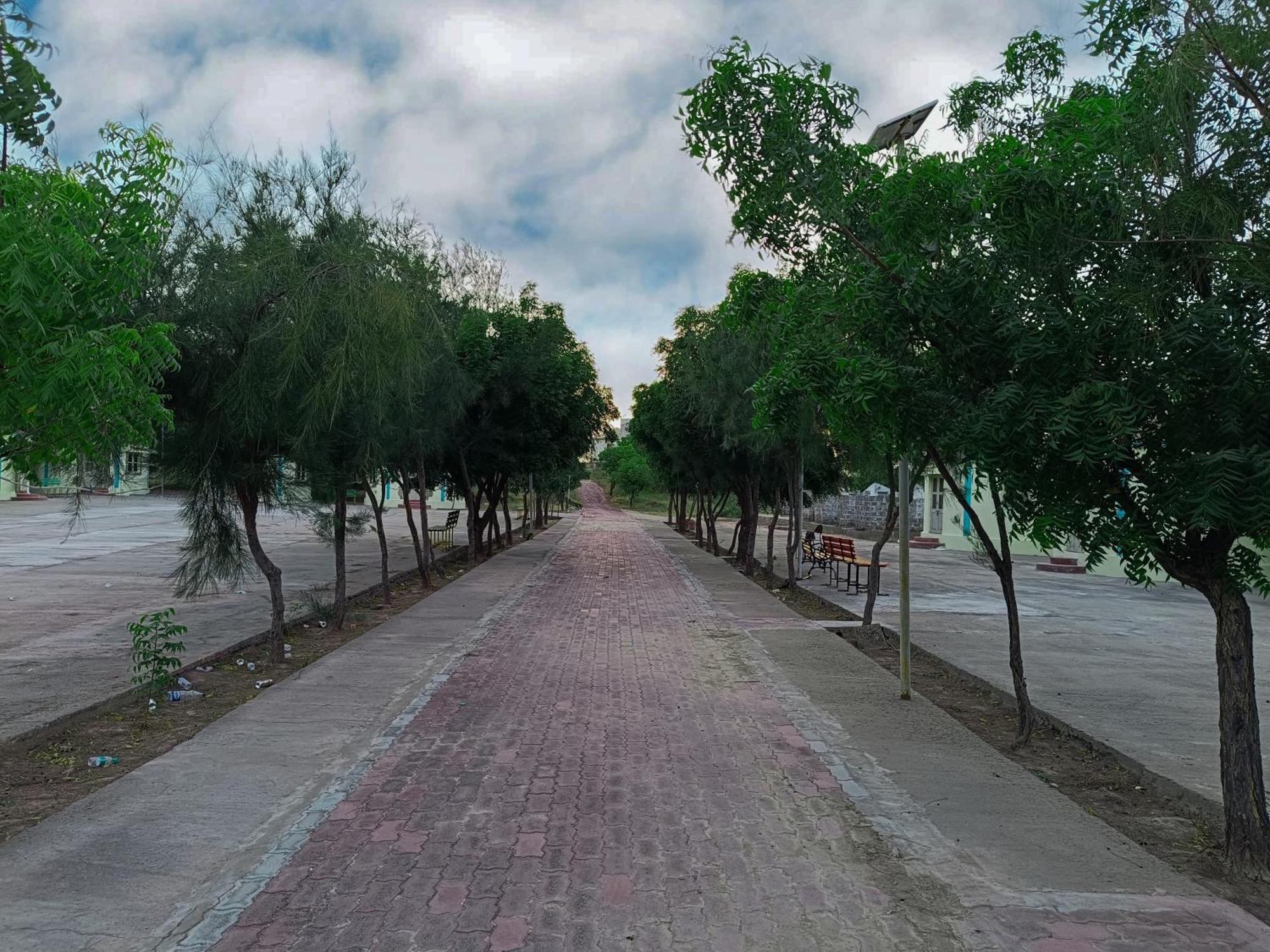 Hotel Rann Of Kachchh Dholavira Dış mekan fotoğraf